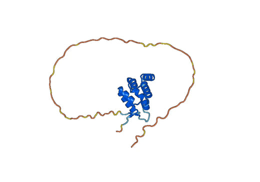 TNFRSF10B recombinant protein