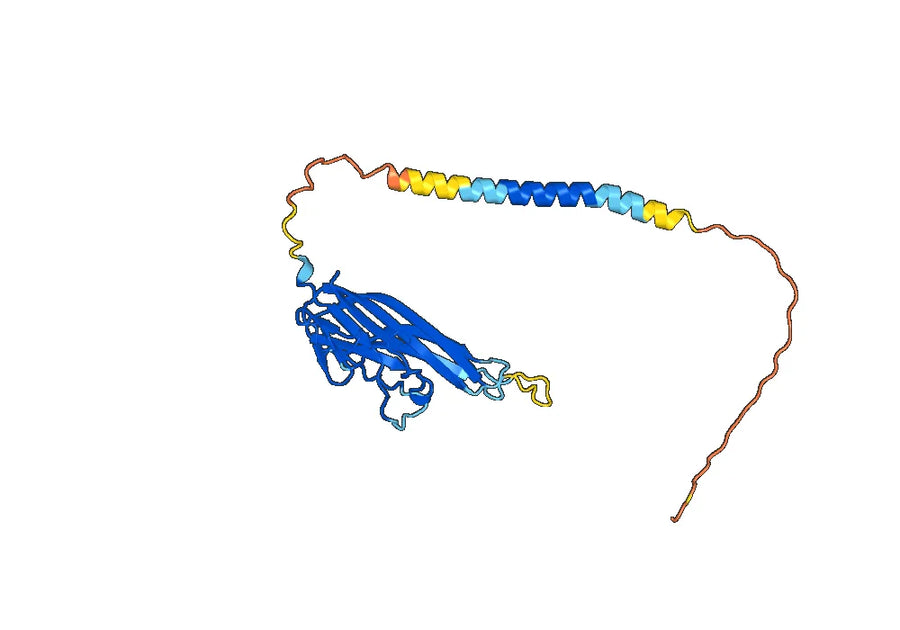 TNFSF15/TL1A Monoclonal Antibody