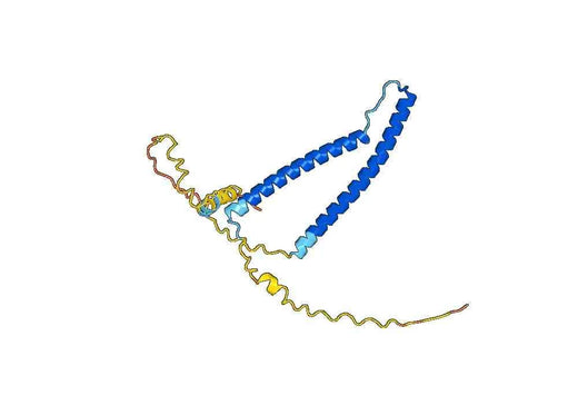 TNNI3, N-His, recombinant protein
