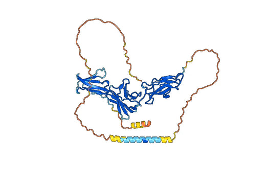 Tocilizumab ELISA Kit
