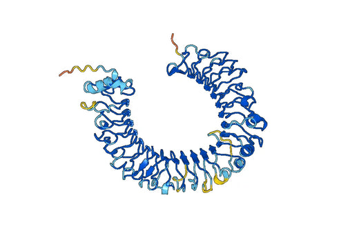 Toll-like receptor 4(TLR4)