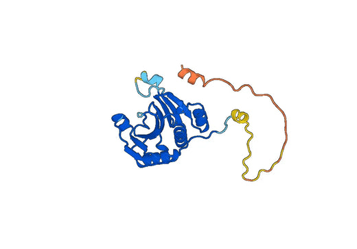 Tomato Le_eIF4E1 Recombinant Protein