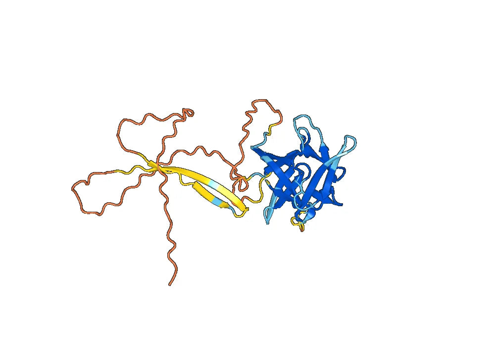 Torudokimab Biosimilar - Anti-IL33 mAb - Research Grade