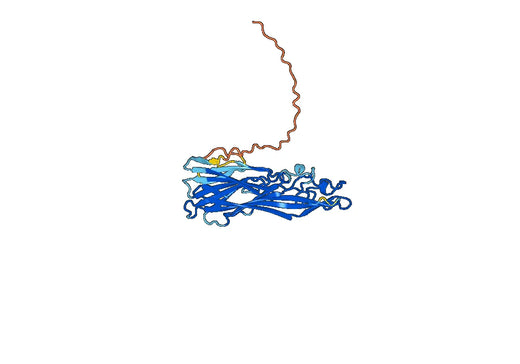 Tosatoxumab ELISA Kit