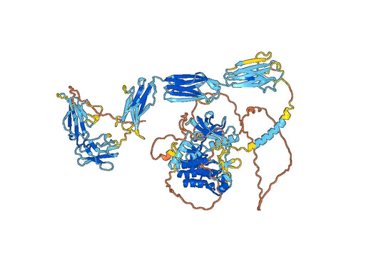 Tovetumab ELISA Kit