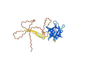 Tozorakimab Biosimilar - Anti-IL33 mAb - Research Grade