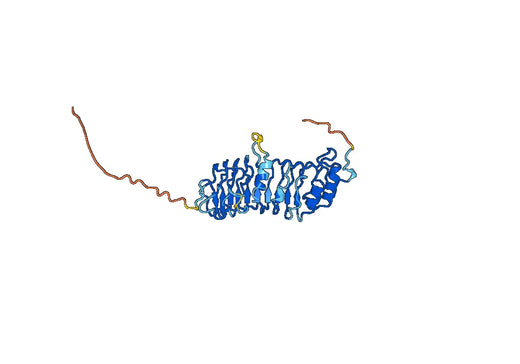 TPBG, N-His, recombinant protein
