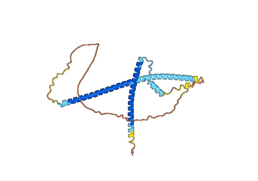 Troponin T, cardiac muscle(Tnnt2)