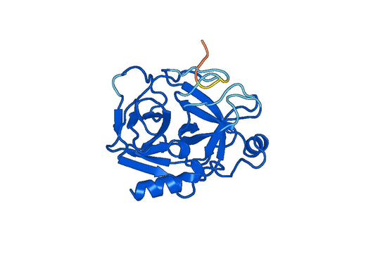 Trypsinogen