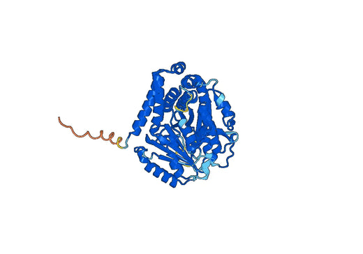Tubulin beta-3 chain(TUBB3)