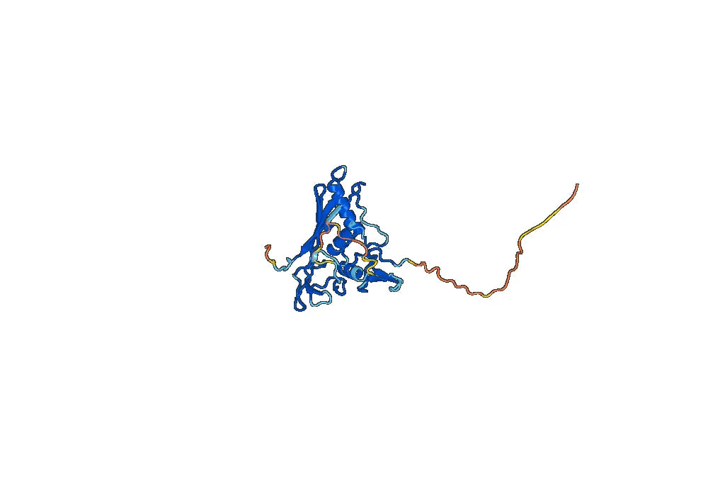 Tumor-associated calcium signal transducer 2(TACSTD2)