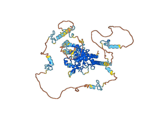 Tumor necrosis factor alpha-induced protein 3 (TNFAIP3)
