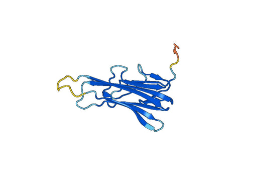 Tumor necrosis factor(TNF)