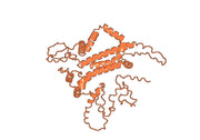 Tuvirumab Biosimilar - Anti-HBV mAb - Research Grade