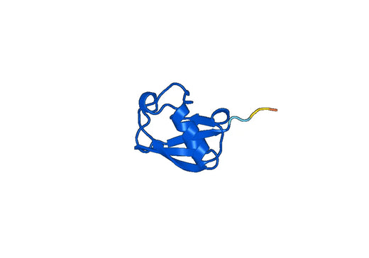 UBB, N-His, recombinant protein