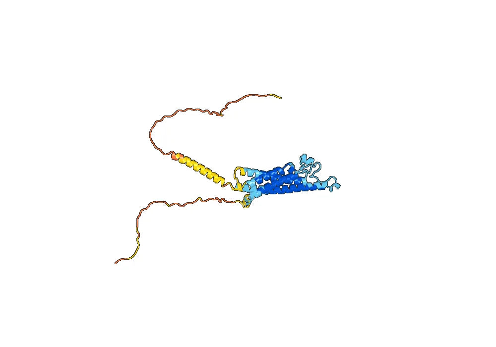 Ublituximab Biosimilar - Anti-MS4A1, CD20 mAb - Research Grade