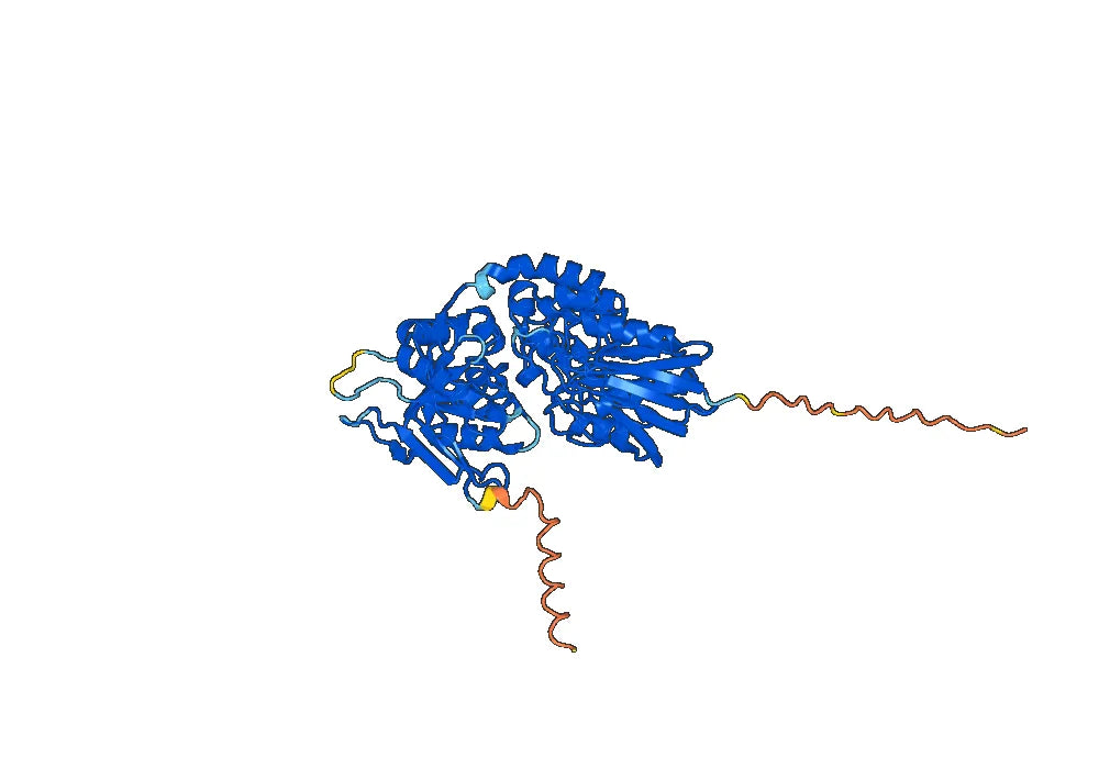 Uliledlimab Biosimilar - Anti-NT5E mAb - Research Grade
