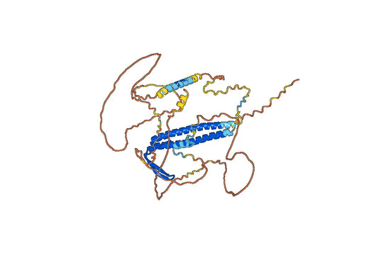Unconventional prefoldin RPB5 interactor 1(His Tag)