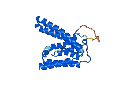 Undecaprenyl-diphosphatase(uppP)