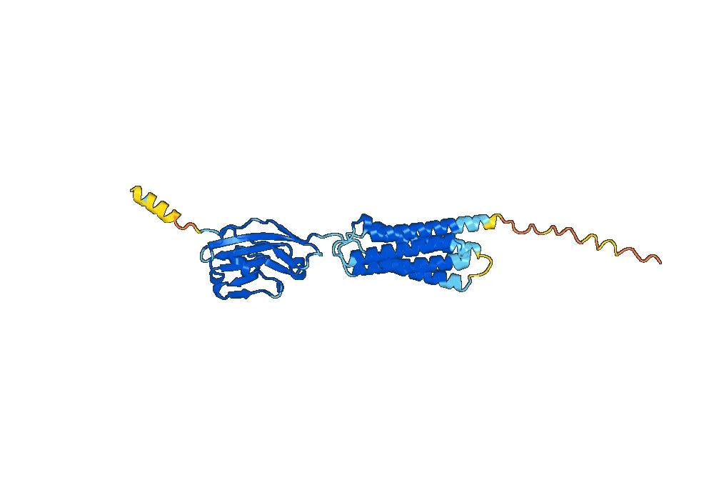 Urabrelimab Biosimilar - Anti-CD47 mAb - Research Grade
