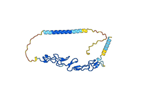 Urelumab ELISA Kit