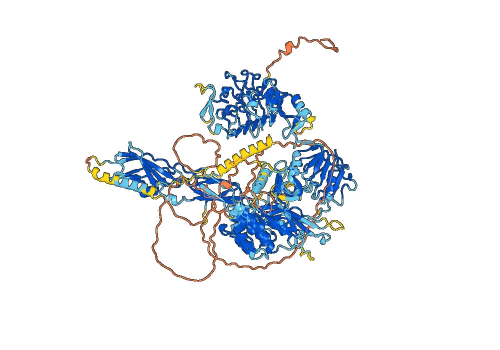 Valanafusp Biosimilar - Anti-INSR mAb - Research Grade