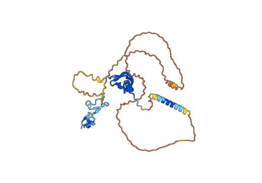 Vanucizumab ELISA Kit