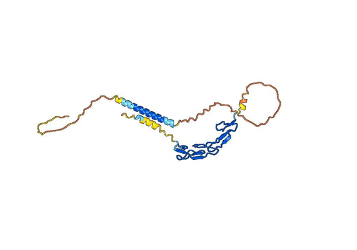 Varlilumab ELISA Kit