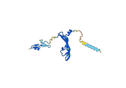 Vascular endothelial growth factor A(VEGFA)