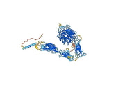 Vedolizumab Biosimilar - Anti-ITGA4_ITGB7 mAb - Research Grade