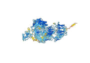 Vensobafusp Alfa Biosimilar - Anti-CPAMD4 fusion protein - Research Grade