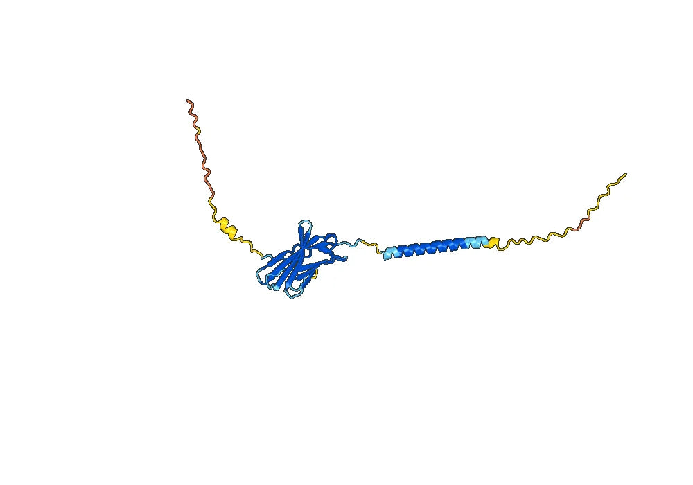 Vilastobart Biosimilar - Anti-CD152 mAb - Research Grade