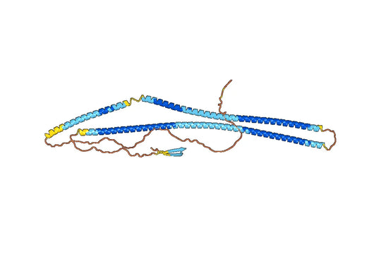 Vimentin Protein (VIM)