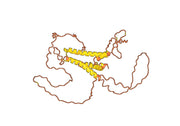 VIR-3434 Biosimilar - Anti-Large envelope protein mAb - Research Grade