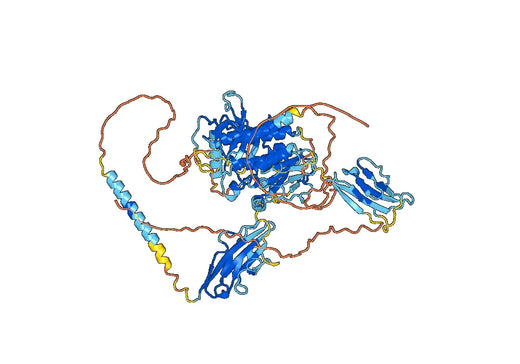 Vofatamab ELISA Kit