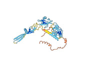 VSVG Protein- Vesicular stomatitis virus VSVG IND1 Recombinant Protein