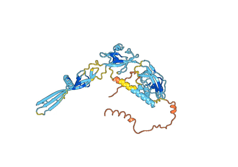 VSVG Protein- Vesicular stomatitis virus VSVG IND1 Recombinant Protein