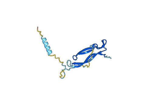 Vunakizumab ELISA Kit