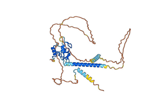 Wheat TAGW2 Recombinant Protein