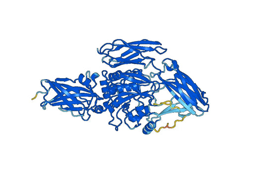 Zampilimab ELISA Kit