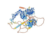 Zanidatamab Biosimilar - Anti-ERBB2, EGFR2, CD340 mAb - Research Grade