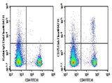 Anti-Mouse CD25 Antibody [2E4] - ABMIUM