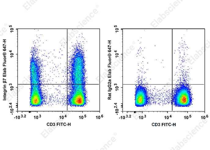 Anti-Human/Mouse Integrin β7 Antibody [FIB504] - ABMIUM