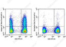 Anti-Human/Mouse Integrin β7 Antibody [FIB504] - ABMIUM