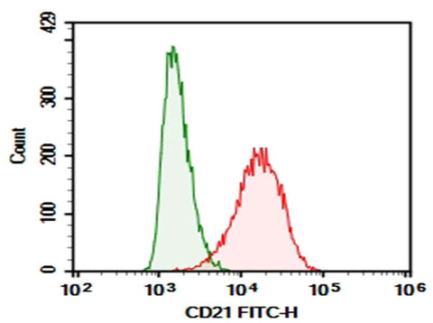 Raji were stained with 0.2 μg Purified Anti-Human CD21 Antibody[HB5] (Right) and 0.2 μg Mouse IgG2a, κ Isotype Control (Left), followed by FITC-conjugated Goat Anti-Mouse IgG Secondary Antibody.