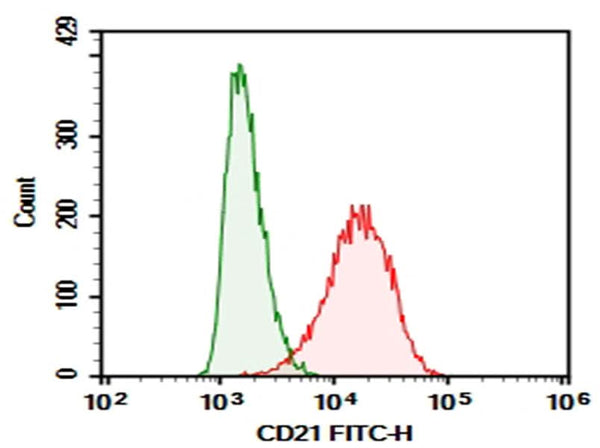 Raji were stained with 0.2 μg Purified Anti-Human CD21 Antibody[HB5] (Right) and 0.2 μg Mouse IgG2a, κ Isotype Control (Left), followed by FITC-conjugated Goat Anti-Mouse IgG Secondary Antibody.