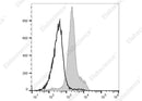 Anti-Mouse CD49d Antibody [R1-2] - ABMIUM