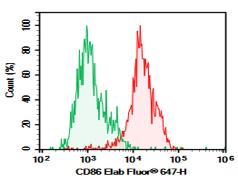 Human peripheral blood monocyte were stained with 0.2 μg Purified Anti-Human CD86 Antibody[BU63] (Right) and 0.2 μg Mouse IgG1, κ Isotype Control (Left), followed by PE-conjugated Goat Anti-Mouse IgG Secondary Antibody.