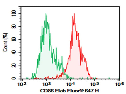 Human peripheral blood monocyte were stained with 0.2 μg Purified Anti-Human CD86 Antibody[BU63] (Right) and 0.2 μg Mouse IgG1, κ Isotype Control (Left), followed by PE-conjugated Goat Anti-Mouse IgG Secondary Antibody.