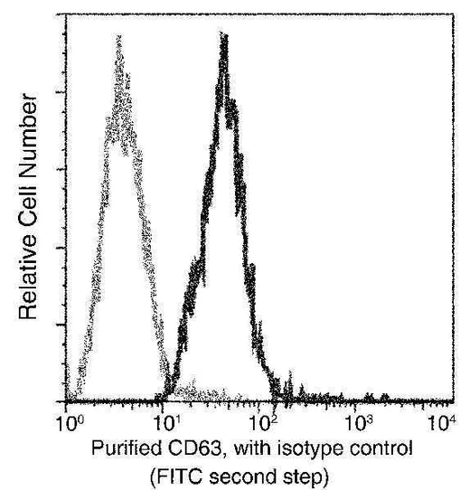 Anti-Human CD63 Antibody [A851] - ABMIUM